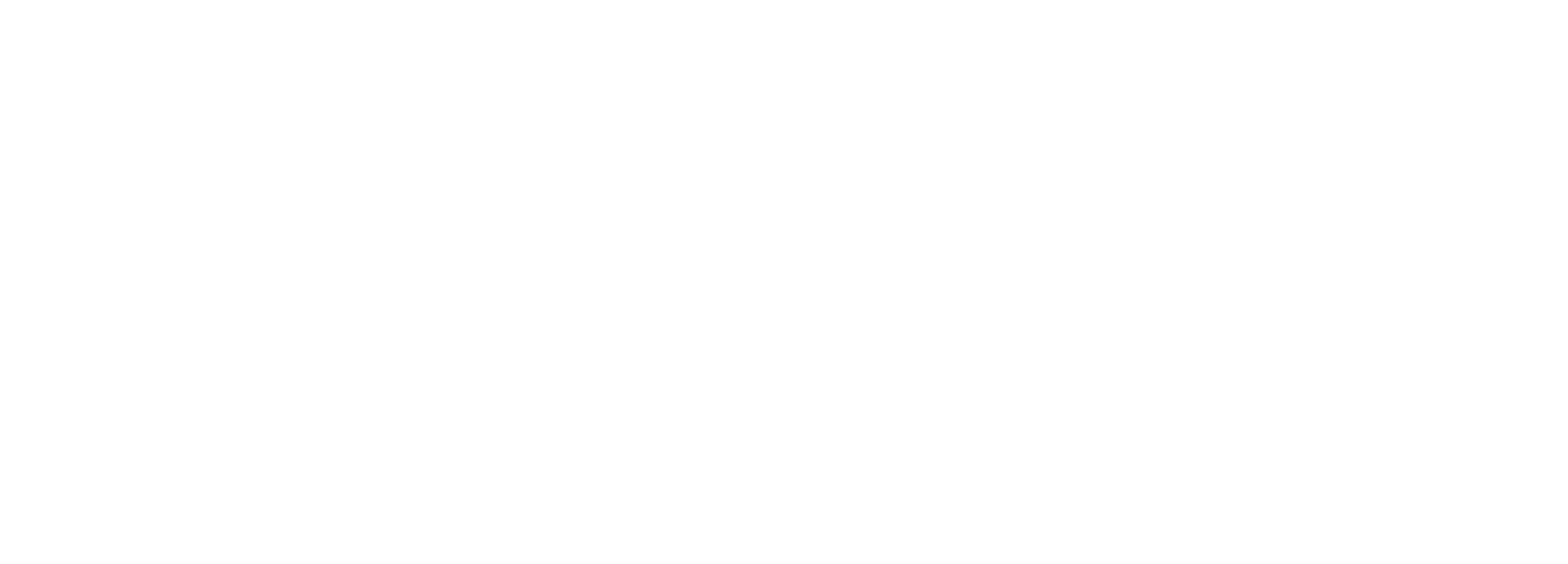 反白 Logo
